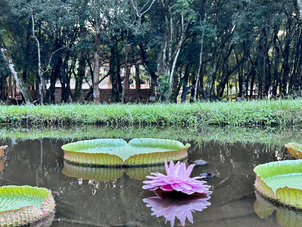 Parque Hotel Manantial Hohenau Luaran gambar