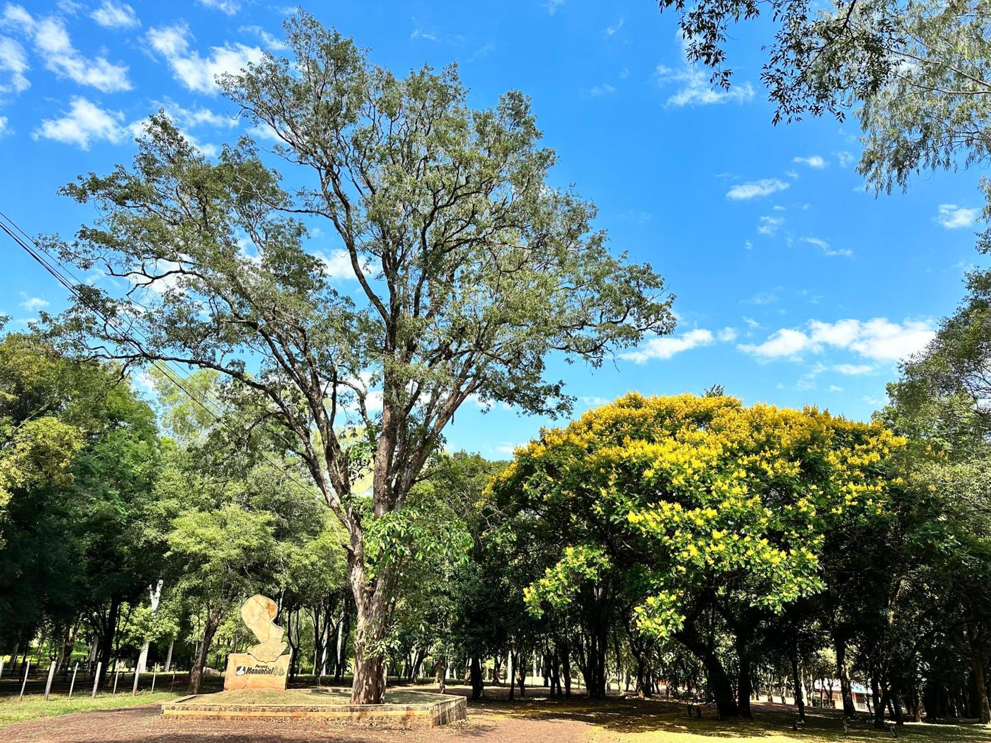 Parque Hotel Manantial Hohenau Luaran gambar