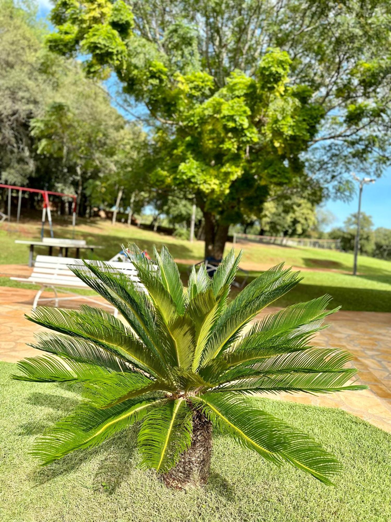 Parque Hotel Manantial Hohenau Luaran gambar