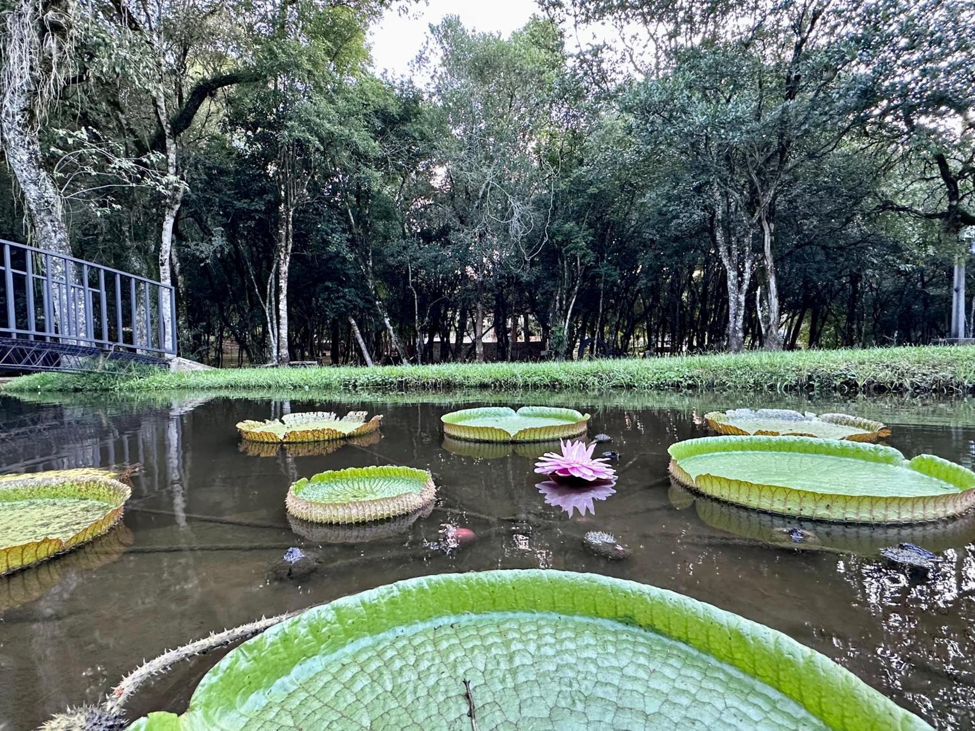 Parque Hotel Manantial Hohenau Luaran gambar